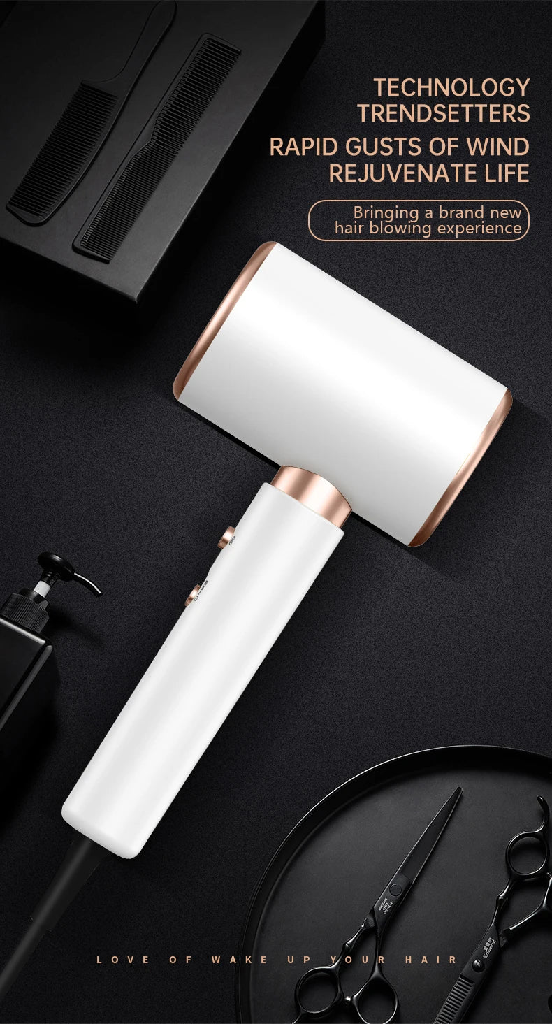 Hair Dryer, High-Speed Electric Turbine Airflow, Low Noise, Constant Temperature And Quick Drying, Suitable For Home Salons. DailyAlertDeals