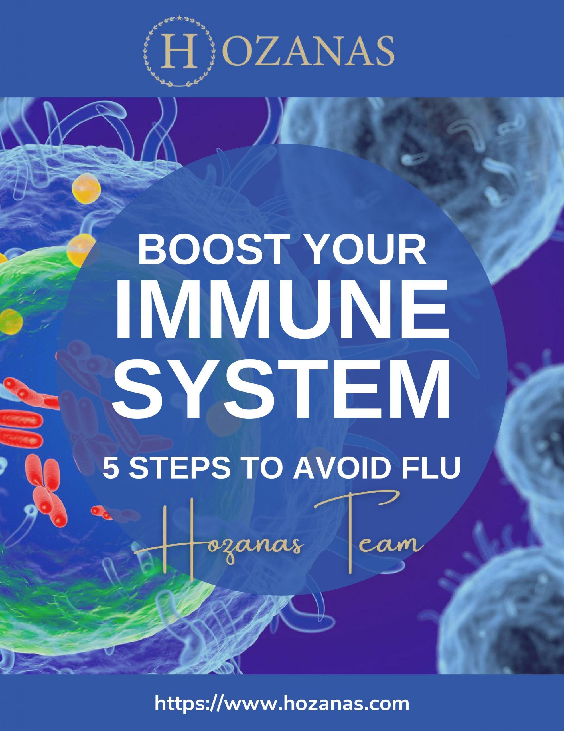 A Quick Guide to Boost Your Immune System Pdf EBook  hozanas4life