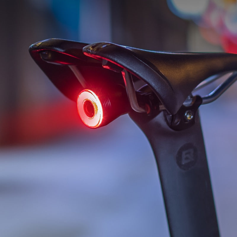 ROCKBROS Bicycle Smart Auto Brake Sensing Light IPx6 Waterproof LED Charging Cycling Taillight Bike Rear Light Accessories Q5 0 DailyAlertDeals