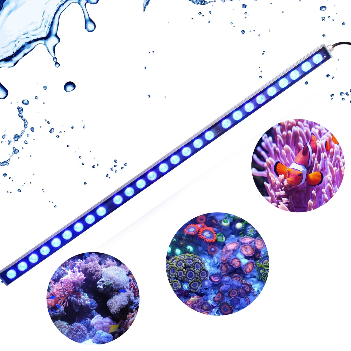Populargrow 54W/81W/108W Led Aquarium Light with Only 470nm Blue Spectrum Strip Light Beautiful Your Coral Reef Fish Tank Lamp 0 DailyAlertDeals 108w China