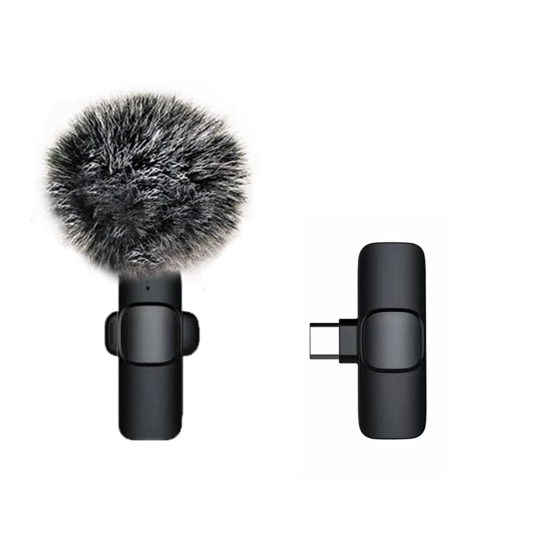 Wireless Lavalier Microphones & Systems Portable Audio Video Recording Mini Mic For iPhone Android Facebook Youtube Live Broadcast Gaming wiresless mircophone DailyAlertDeals Type-C with hairball