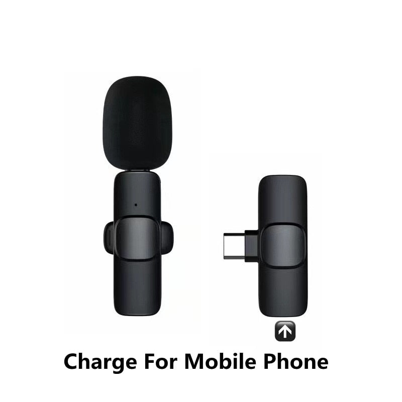 Wireless Lavalier Microphones & Systems Portable Audio Video Recording Mini Mic For iPhone Android Facebook Youtube Live Broadcast Gaming wiresless mircophone DailyAlertDeals TypeC reserve charge