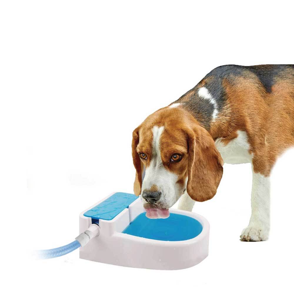 Auto Filling Dog Water Fountain AFP Garden Outside Automatic Pet Home & Garden Ozdingo