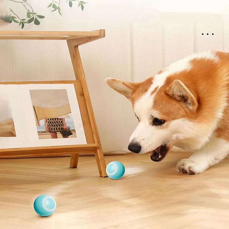 Electric Cat Ball Toys Automatic Rolling Smart Cat Toys for Cats Training Self-moving Kitten Toys for Indoor Interactive Playing Smart Cat Toys DailyAlertDeals   