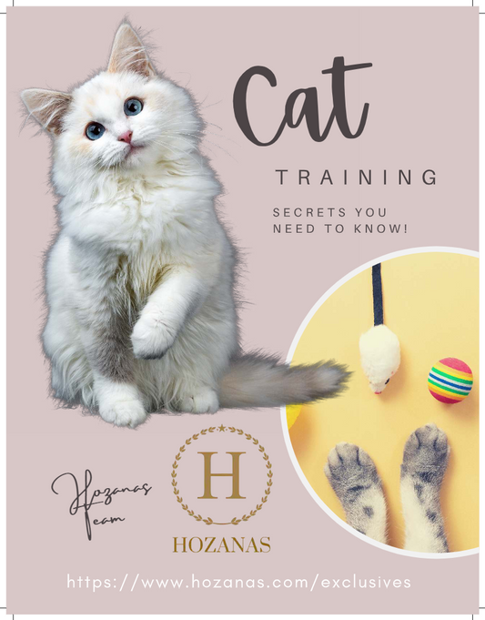 Cat Training | Secrets of Cat Training | Short Guide  hozanas4life   