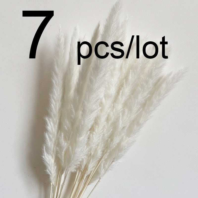 14pcs 7pcs Colorful Bulrush Grass Natural Dried Flowers Artificial Home Wedding Living Room Decoration Accessories Long Bouquet Bulrush Grass Natural Dried Flowers DailyAlertDeals 7pcs-374-White  