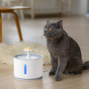 Automatic Pet Cat Water Fountain with LED Lighting 5 Pack Filters 2.4L USB Dogs Cats Mute Drinker Feeder Bowl Drinking Dispenser 0 DailyAlertDeals   