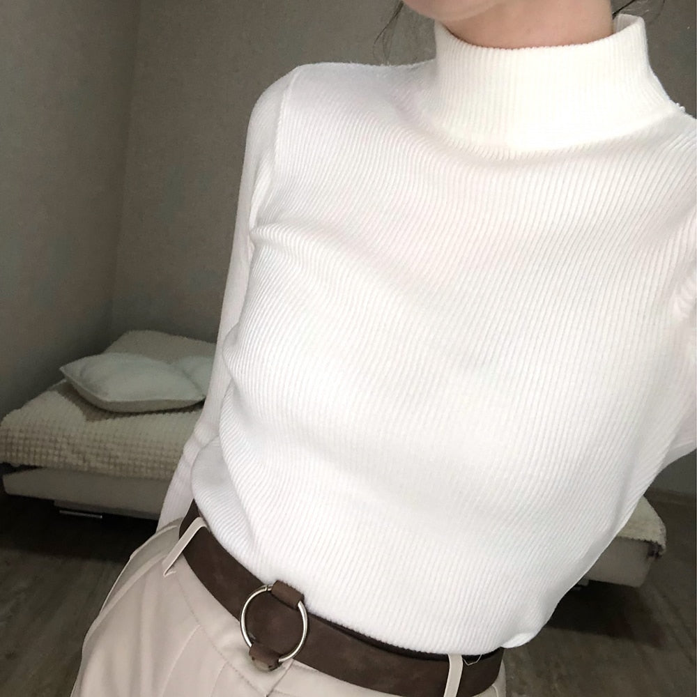 Women's Black turtleneck Soft Cozy Sweaters Slim Full Sleeve Multi-color Turtleneck Sweaters for Women winter turtleneck sweaters for women DailyAlertDeals   