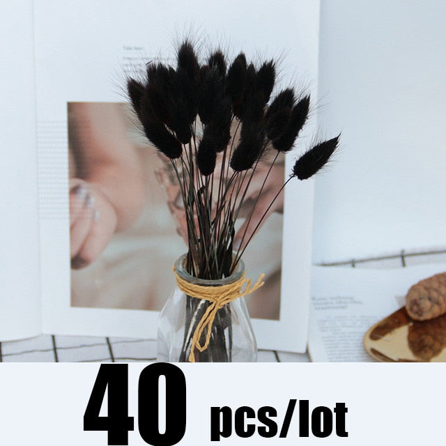 14pcs 7pcs Colorful Bulrush Grass Natural Dried Flowers Artificial Home Wedding Living Room Decoration Accessories Long Bouquet Bulrush Grass Natural Dried Flowers DailyAlertDeals 40pcs-177-Black  