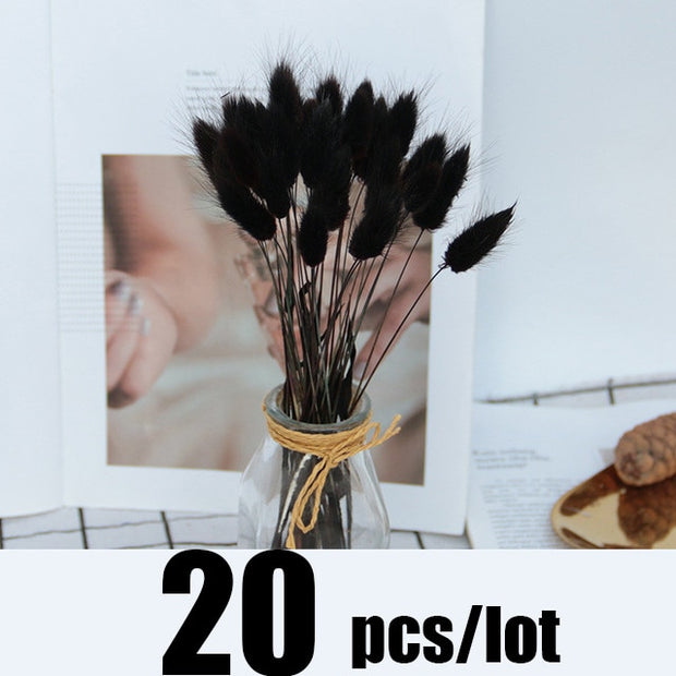 14pcs 7pcs Colorful Bulrush Grass Natural Dried Flowers Artificial Home Wedding Living Room Decoration Accessories Long Bouquet Bulrush Grass Natural Dried Flowers DailyAlertDeals 20pcs-177-Black  