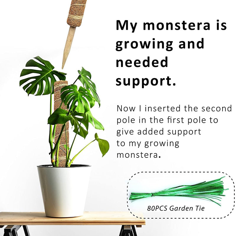 Plant Cages Supports Reusable Plant Climbing Stand Durable Flower Plants Support for Balcony Garden Courtyard Easy to Use 1PC Plant Climbing Stand DailyAlertDeals   