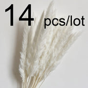 14pcs 7pcs Colorful Bulrush Grass Natural Dried Flowers Artificial Home Wedding Living Room Decoration Accessories Long Bouquet 0 DailyAlertDeals 14pcs-374-White  