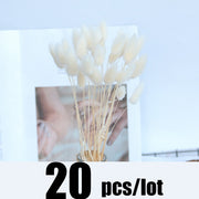 14pcs 7pcs Colorful Bulrush Grass Natural Dried Flowers Artificial Home Wedding Living Room Decoration Accessories Long Bouquet 0 DailyAlertDeals 20pcs-177-White  
