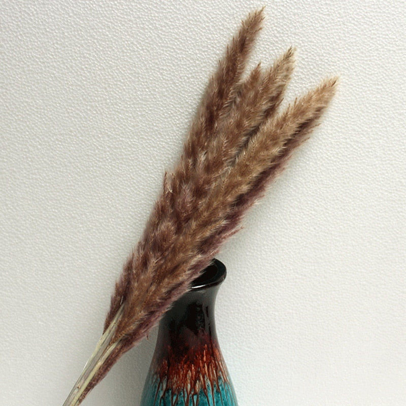 14pcs 7pcs Colorful Bulrush Grass Natural Dried Flowers Artificial Home Wedding Living Room Decoration Accessories Long Bouquet Bulrush Grass Natural Dried Flowers DailyAlertDeals   