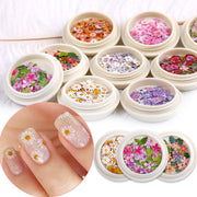 50pcs/box Nail Art Color mixed small Daisy Flower rose ultra-thin wood pulp patch DIY nail art jewelry nail art decoration 0 DailyAlertDeals   