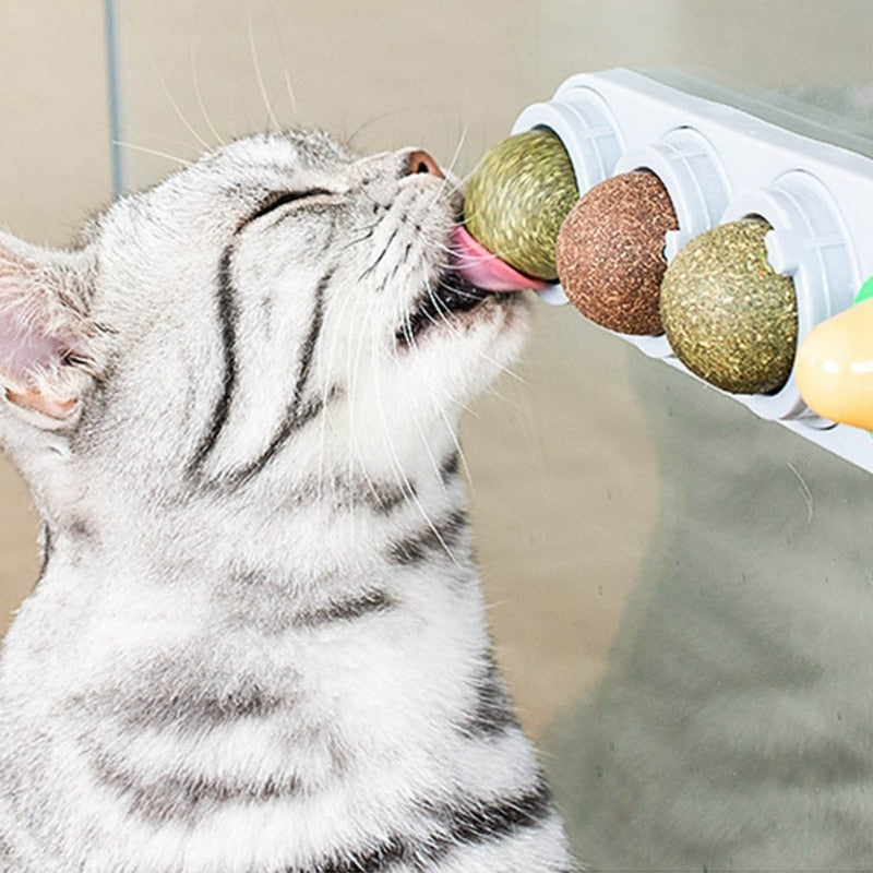Pet Cat Catnip Wall Ball Cat Toy Catnip Balls Snack 0 DailyAlertDeals   