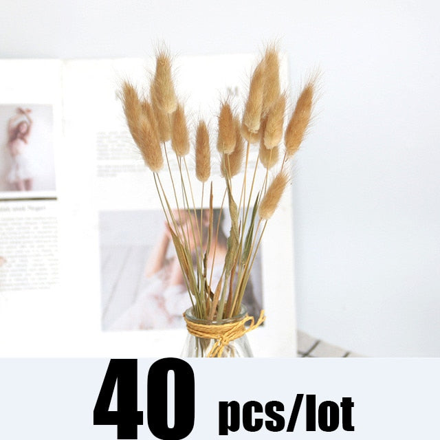 14pcs 7pcs Colorful Bulrush Grass Natural Dried Flowers Artificial Home Wedding Living Room Decoration Accessories Long Bouquet Bulrush Grass Natural Dried Flowers DailyAlertDeals 40pcs-177-Coffee  