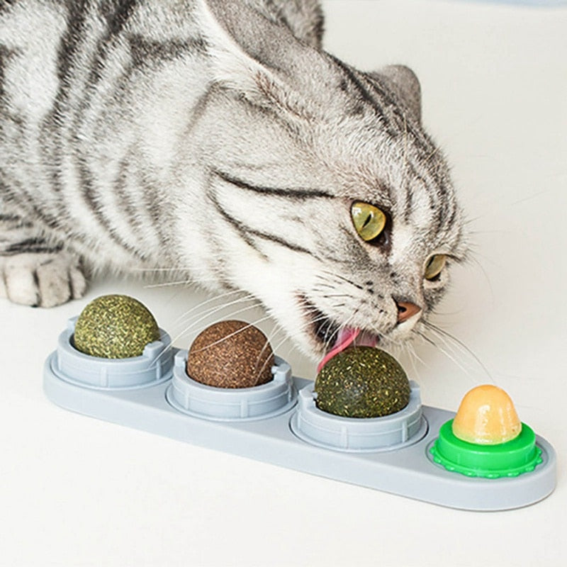 Pet Cat Catnip Wall Ball Cat Toy Catnip Balls Snack 0 DailyAlertDeals   