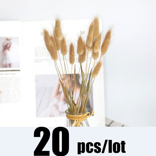 14pcs 7pcs Colorful Bulrush Grass Natural Dried Flowers Artificial Home Wedding Living Room Decoration Accessories Long Bouquet 0 DailyAlertDeals 20pcs-177-Coffee  
