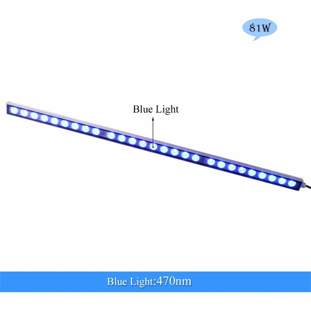 Populargrow 54W/81W/108W Led Aquarium Light with Only 470nm Blue Spectrum Strip Light Beautiful Your Coral Reef Fish Tank Lamp 0 DailyAlertDeals   