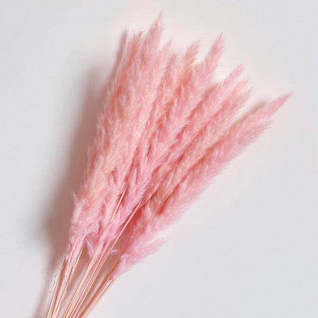 14pcs 7pcs Colorful Bulrush Grass Natural Dried Flowers Artificial Home Wedding Living Room Decoration Accessories Long Bouquet 0 DailyAlertDeals   
