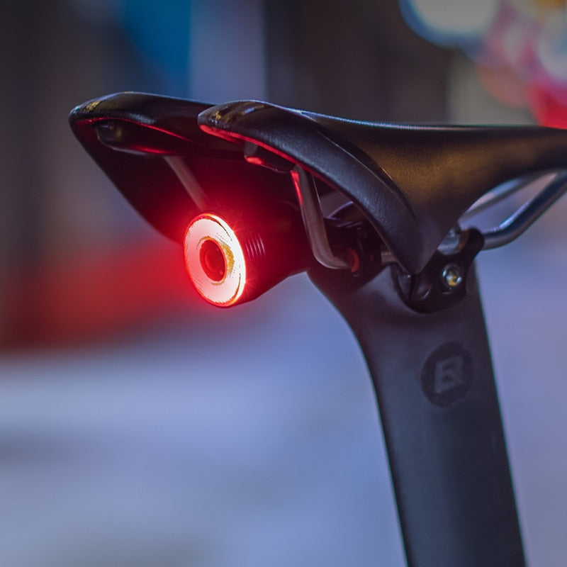 ROCKBROS Bicycle Smart Auto Brake Sensing Light IPx6 Waterproof LED Charging Cycling Taillight Bike Rear Light Accessories Q5 0 DailyAlertDeals   