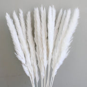 14pcs 7pcs Colorful Bulrush Grass Natural Dried Flowers Artificial Home Wedding Living Room Decoration Accessories Long Bouquet 0 DailyAlertDeals   