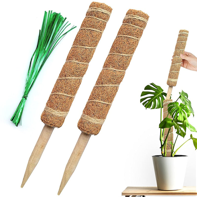 Plant Cages Supports Reusable Plant Climbing Stand Durable Flower Plants Support for Balcony Garden Courtyard Easy to Use 1PC Plant Climbing Stand DailyAlertDeals   