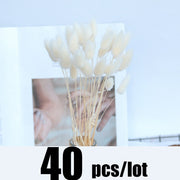 14pcs 7pcs Colorful Bulrush Grass Natural Dried Flowers Artificial Home Wedding Living Room Decoration Accessories Long Bouquet 0 DailyAlertDeals 40pcs-177-White  