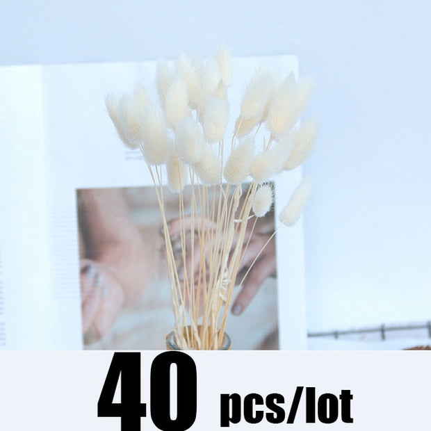 14pcs 7pcs Colorful Bulrush Grass Natural Dried Flowers Artificial Home Wedding Living Room Decoration Accessories Long Bouquet 0 DailyAlertDeals 40pcs-177-White  