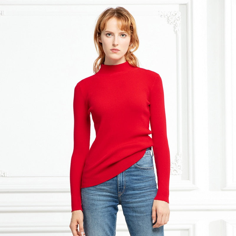 Women's Black turtleneck Soft Cozy Sweaters Slim Full Sleeve Multi-color Turtleneck Sweaters for Women winter turtleneck sweaters for women DailyAlertDeals   
