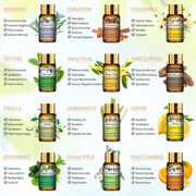 Pure Essential Oils 15pcs Gift Set Natural Plant Aroma Essential Oil Diffuser Eucalyptus Vanilla Mint Lavender Rose Tea Tree Oil 0 DailyAlertDeals   