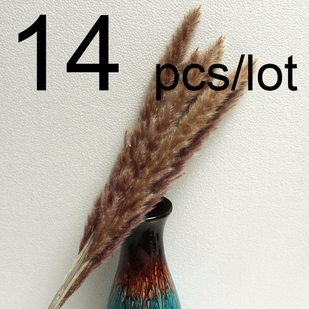 14pcs 7pcs Colorful Bulrush Grass Natural Dried Flowers Artificial Home Wedding Living Room Decoration Accessories Long Bouquet 0 DailyAlertDeals 14pcs-374-Coffee  