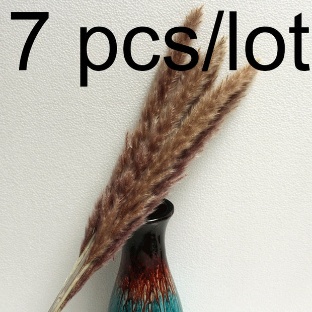14pcs 7pcs Colorful Bulrush Grass Natural Dried Flowers Artificial Home Wedding Living Room Decoration Accessories Long Bouquet 0 DailyAlertDeals 7pcs-374-Coffee  