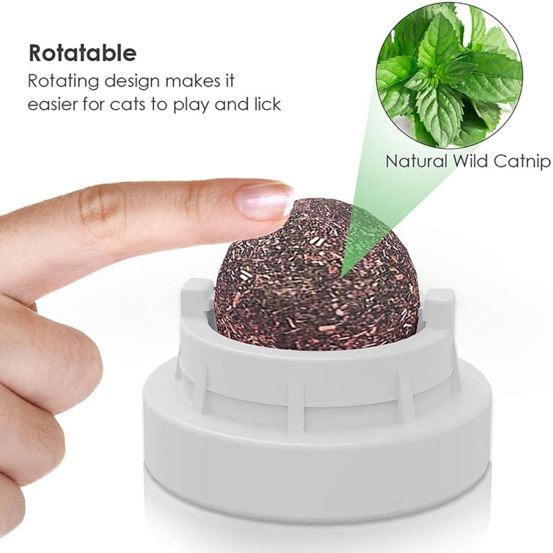 Pet Cat Catnip Wall Ball Cat Toy Catnip Balls Snack Healthy Rotatable Treats Toy Kitten Playing Chewing Cleaning Teeth Toys Food Cat toy catnip balls DailyAlertDeals   
