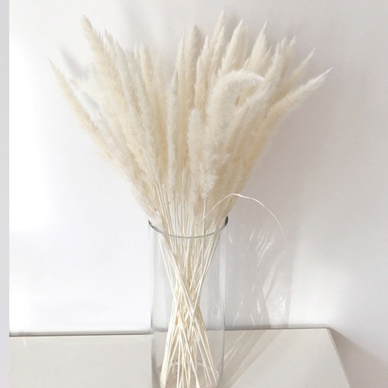 14pcs 7pcs Colorful Bulrush Grass Natural Dried Flowers Artificial Home Wedding Living Room Decoration Accessories Long Bouquet Bulrush Grass Natural Dried Flowers DailyAlertDeals   