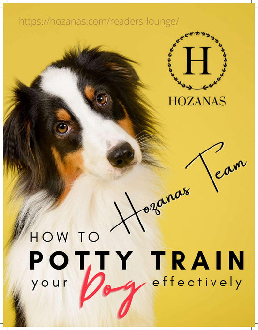 How to Potty Train Your Dog Effectively (Downloadable E-Book)  hozanas4life   