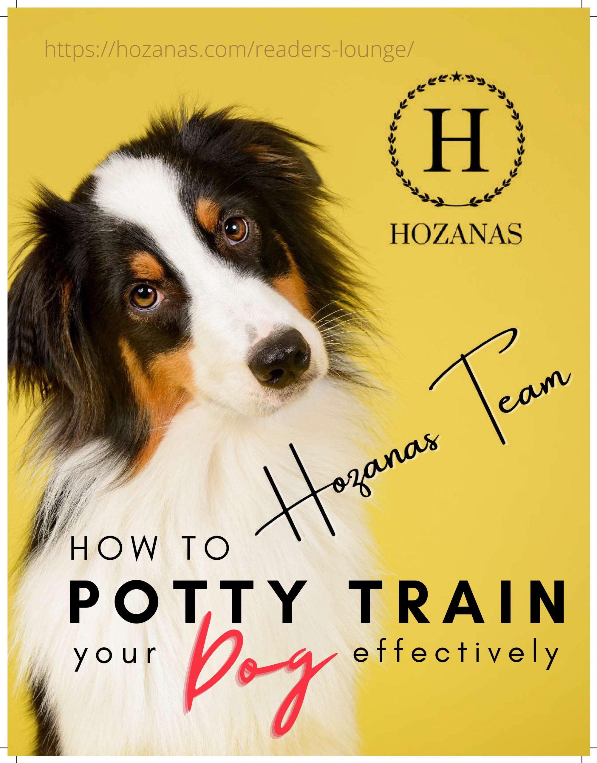 How to Potty Train Your Dog Effectively (Downloadable E-Book)  hozanas4life   