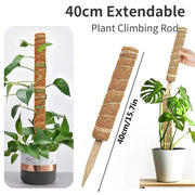 Plant Cages Supports Reusable Plant Climbing Stand Durable Flower Plants Support for Balcony Garden Courtyard Easy to Use 1PC Plant Climbing Stand DailyAlertDeals 1PC Extendable 40cm China 