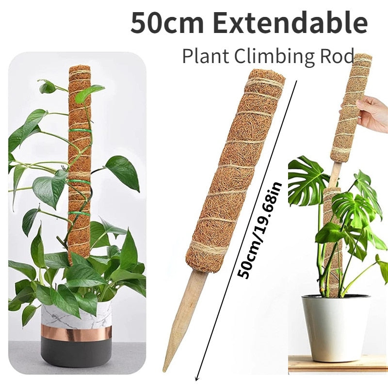 Plant Cages Supports Reusable Plant Climbing Stand Durable Flower Plants Support for Balcony Garden Courtyard Easy to Use 1PC Plant Climbing Stand DailyAlertDeals 1PC Extendable 50cm China 