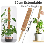 Plant Cages Supports Reusable Plant Climbing Stand Durable Flower Plants Support for Balcony Garden Courtyard Easy to Use 1PC Plant Climbing Stand DailyAlertDeals 1PC Extendable 50cm China 