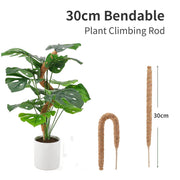 Plant Cages Supports Reusable Plant Climbing Stand Durable Flower Plants Support for Balcony Garden Courtyard Easy to Use 1PC Plant Climbing Stand DailyAlertDeals 1PC Bendable 30cm China 
