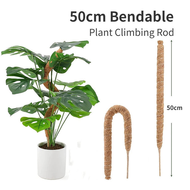 Plant Cages Supports Reusable Plant Climbing Stand Durable Flower Plants Support for Balcony Garden Courtyard Easy to Use 1PC Plant Climbing Stand DailyAlertDeals 1PC Bendable 50cm China 