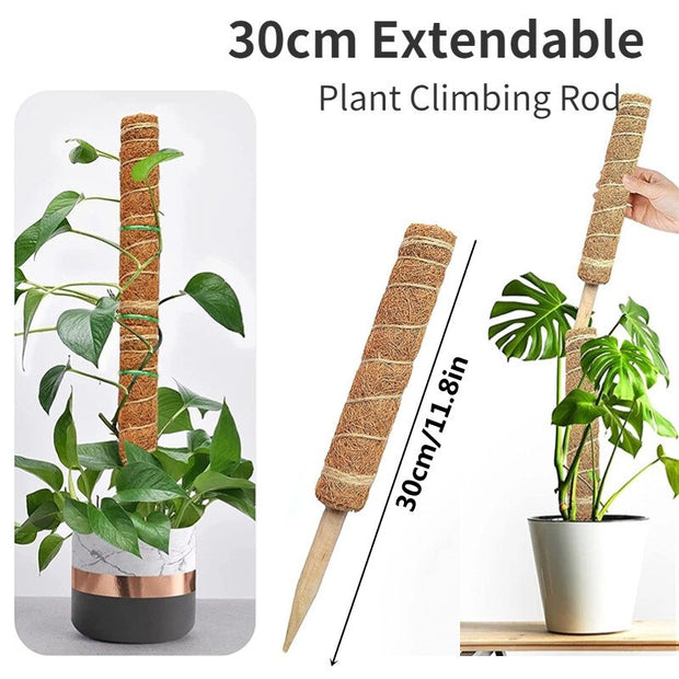 Plant Cages Supports Reusable Plant Climbing Stand Durable Flower Plants Support for Balcony Garden Courtyard Easy to Use 1PC Plant Climbing Stand DailyAlertDeals 1PC Extendable 30cm China 